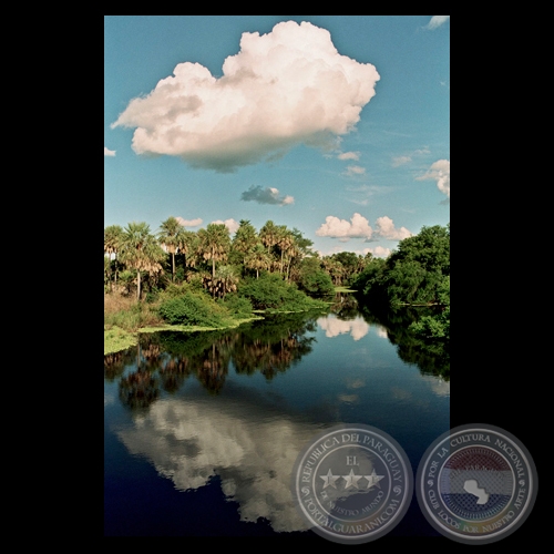 PAISAJE, BAJO CHACO - Fotografía de Fernando Allen